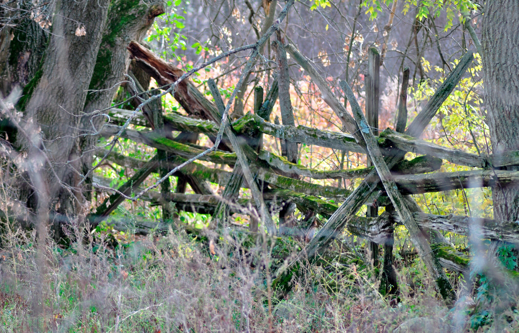 Wooden fence